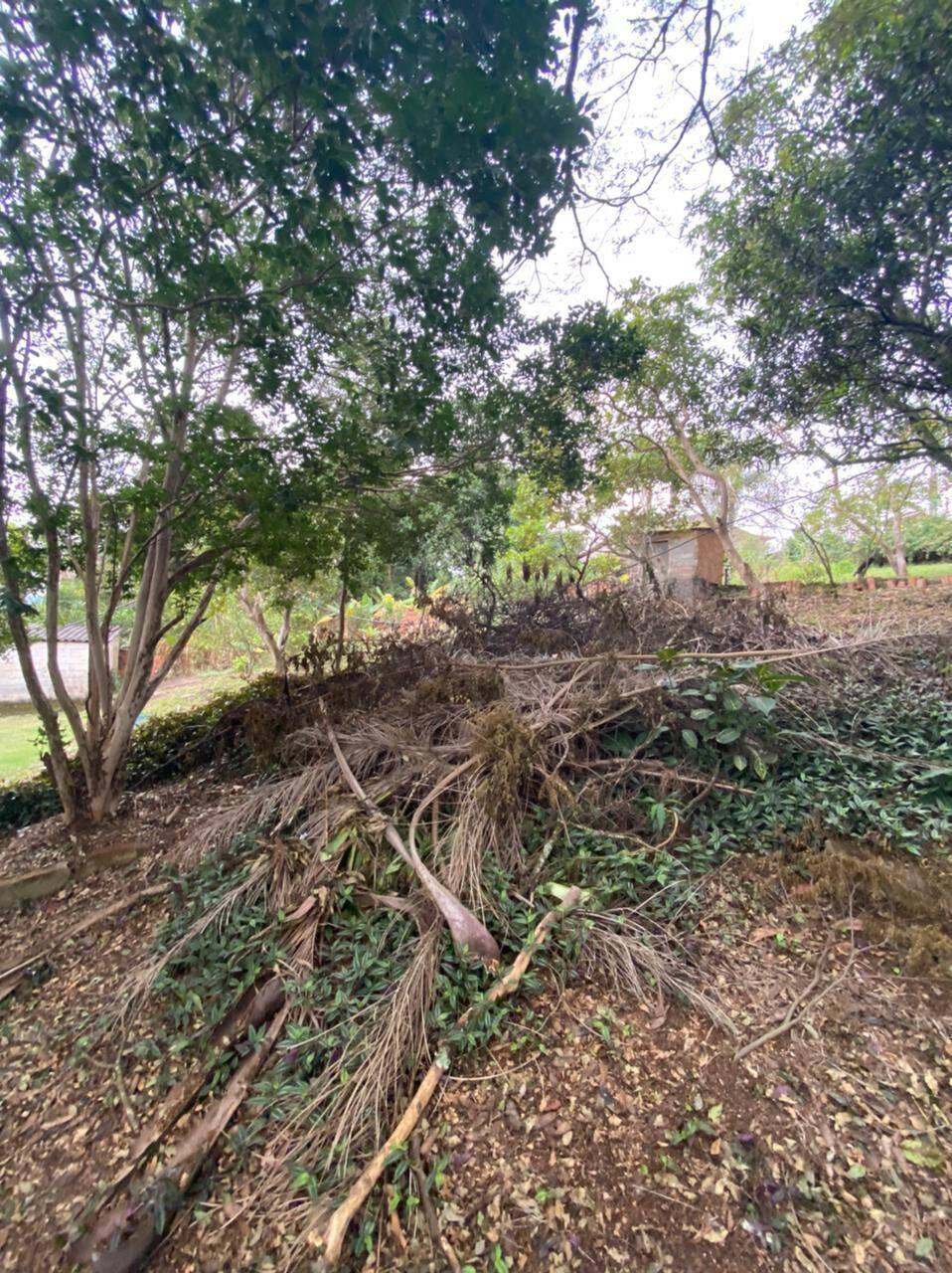 Fazenda à venda com 4 quartos, 412m² - Foto 33