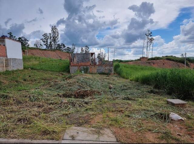 Terreno à venda, 250m² - Foto 2