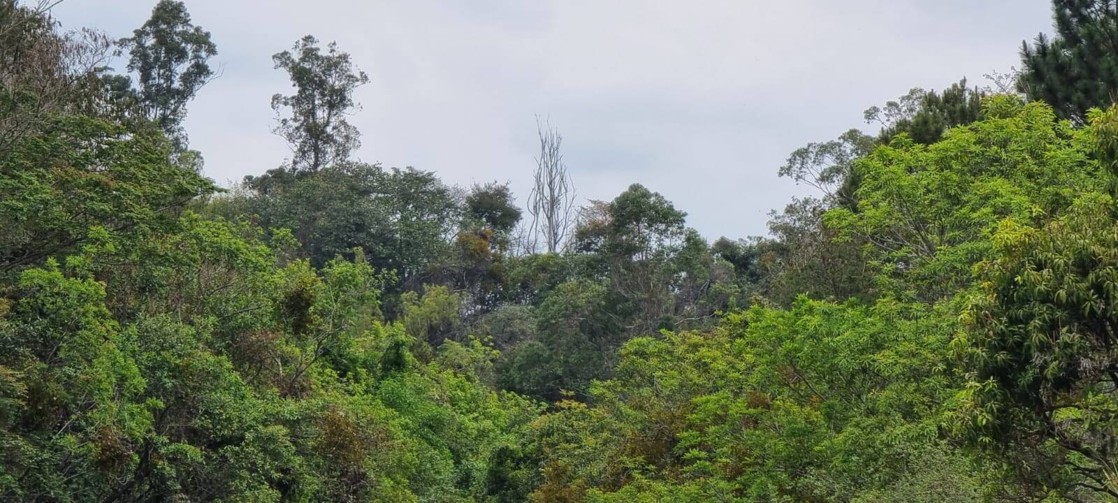 Terreno à venda, 85000m² - Foto 9