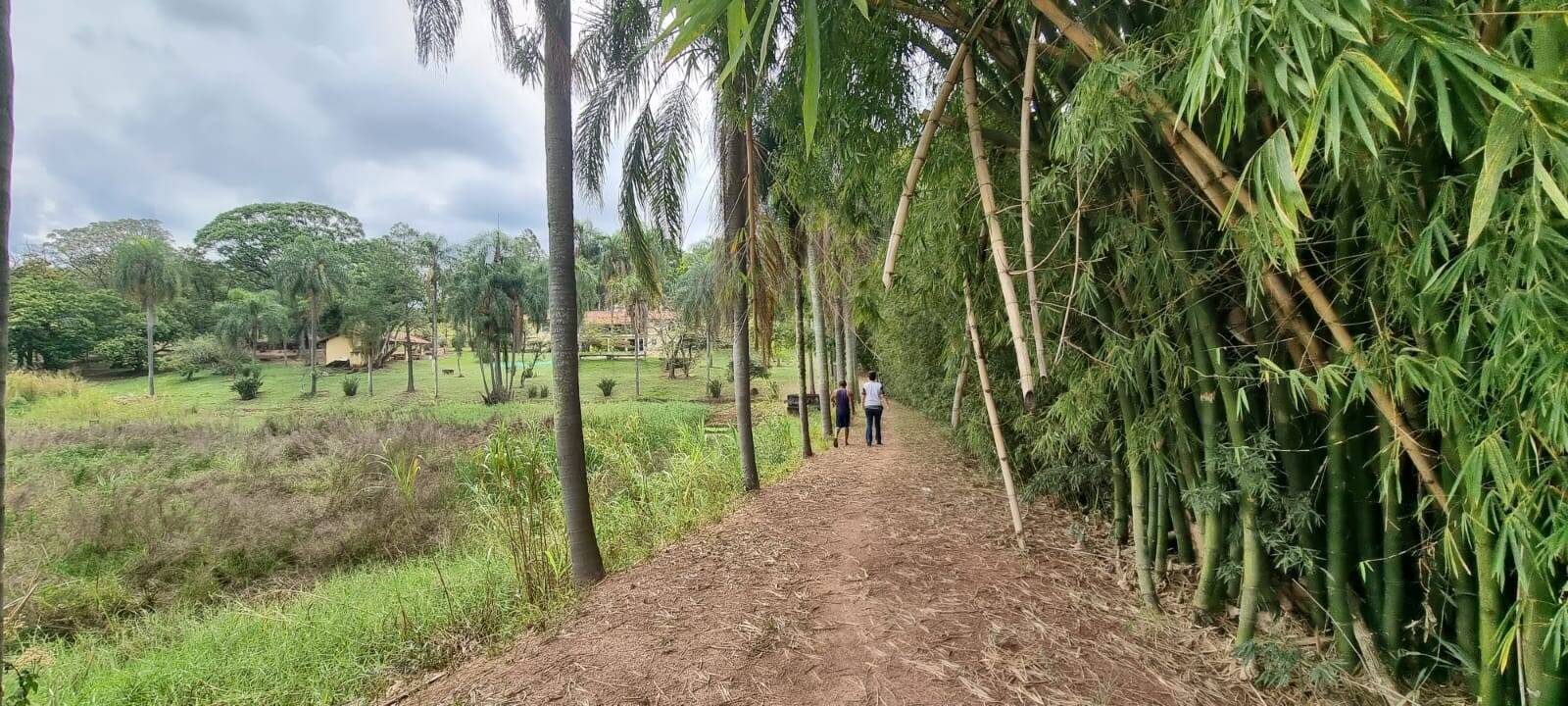 Terreno à venda, 85000m² - Foto 15