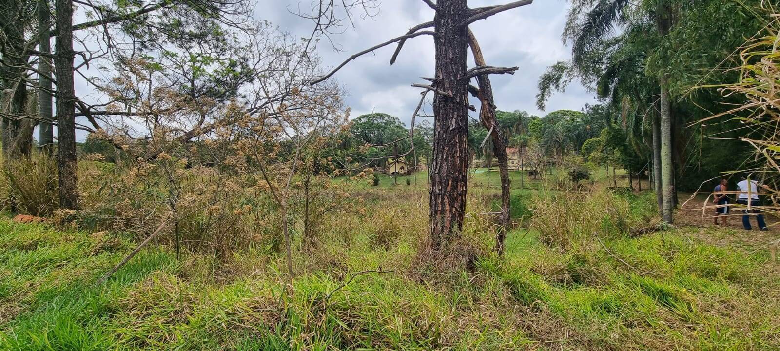 Terreno à venda, 85000m² - Foto 19