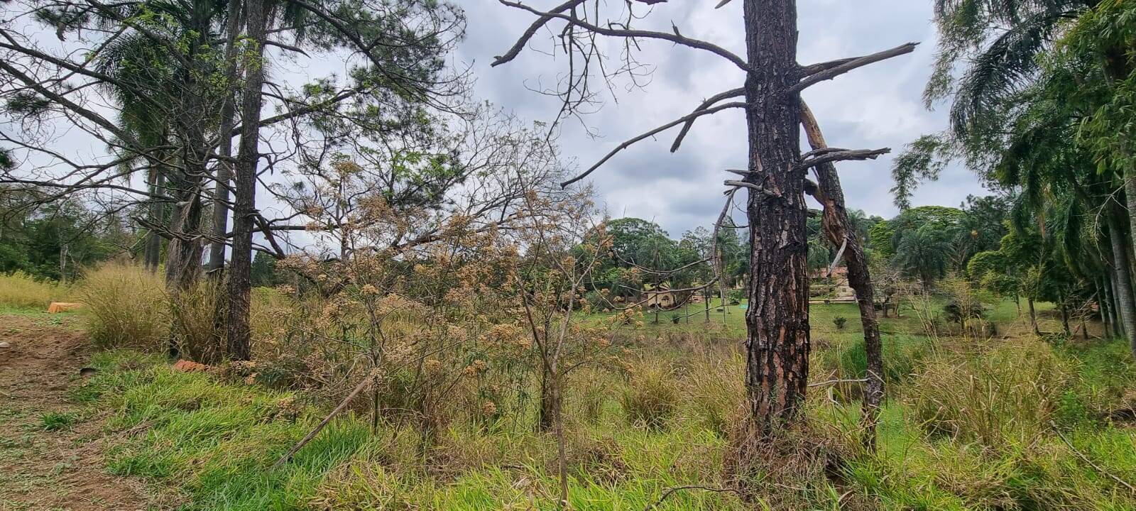 Terreno à venda, 85000m² - Foto 20