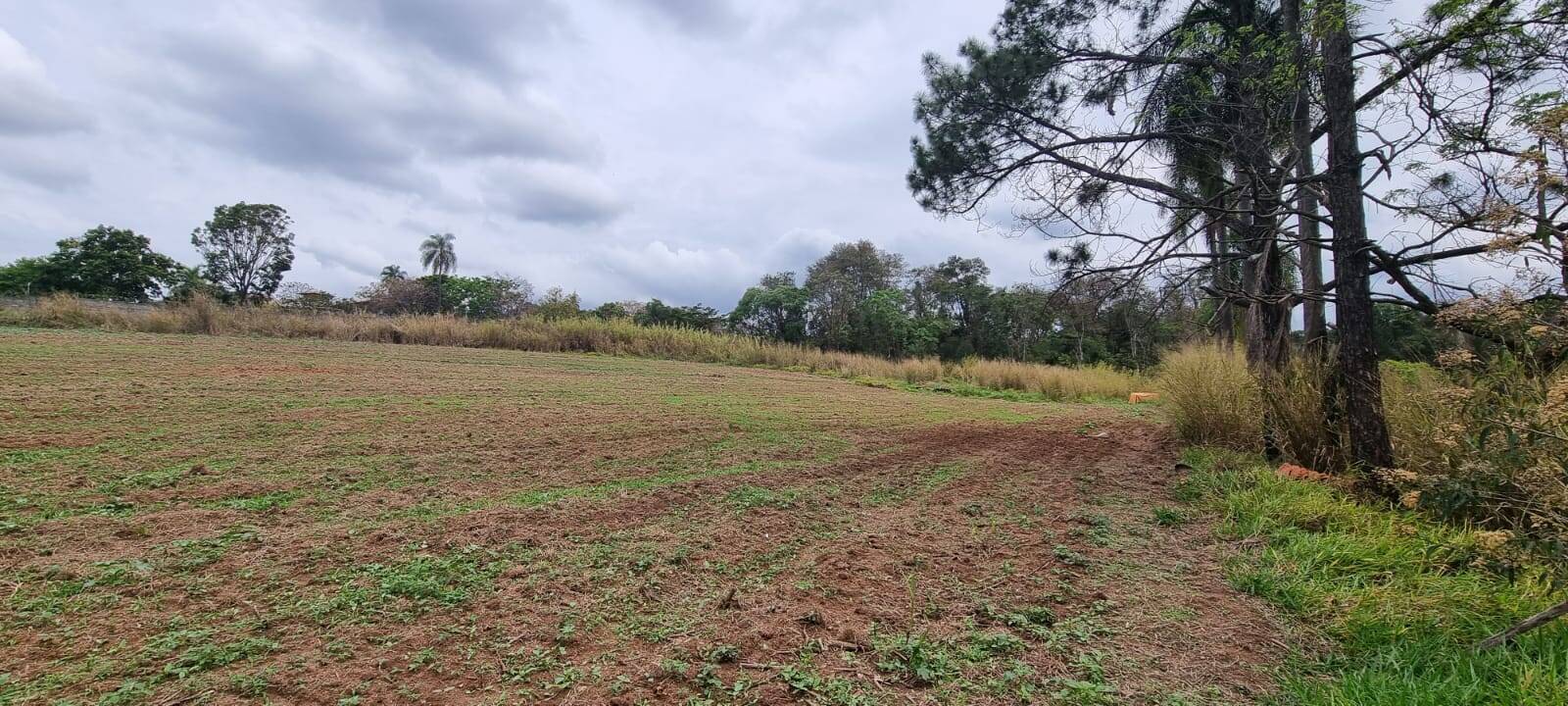 Terreno à venda, 85000m² - Foto 23