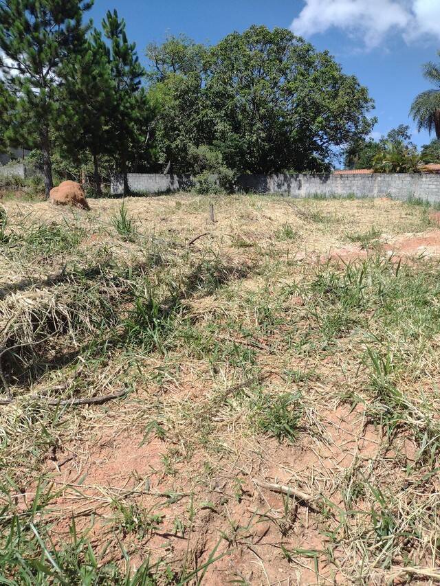 Terreno à venda, 1000m² - Foto 1