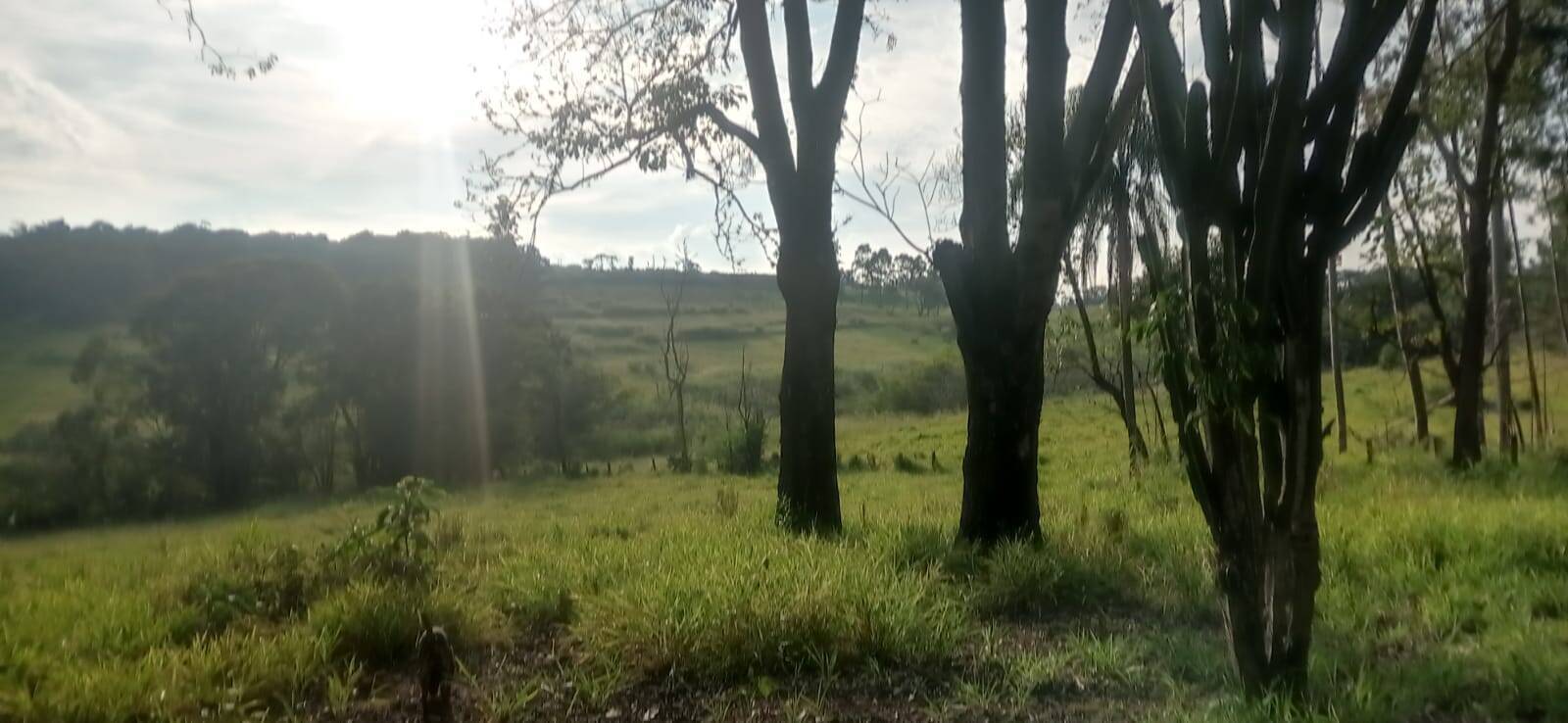 Terreno à venda, 45000m² - Foto 5