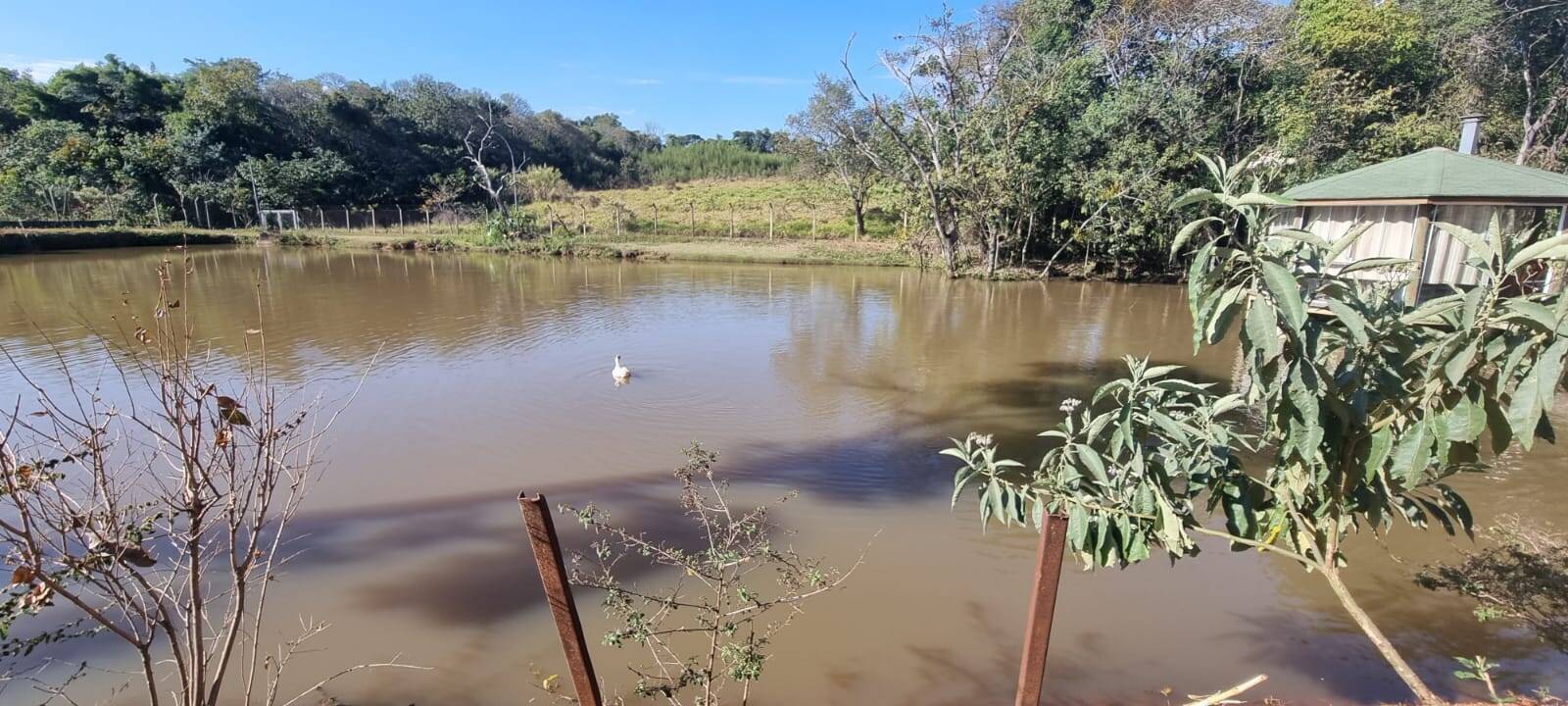 Fazenda à venda com 2 quartos, 19000m² - Foto 17