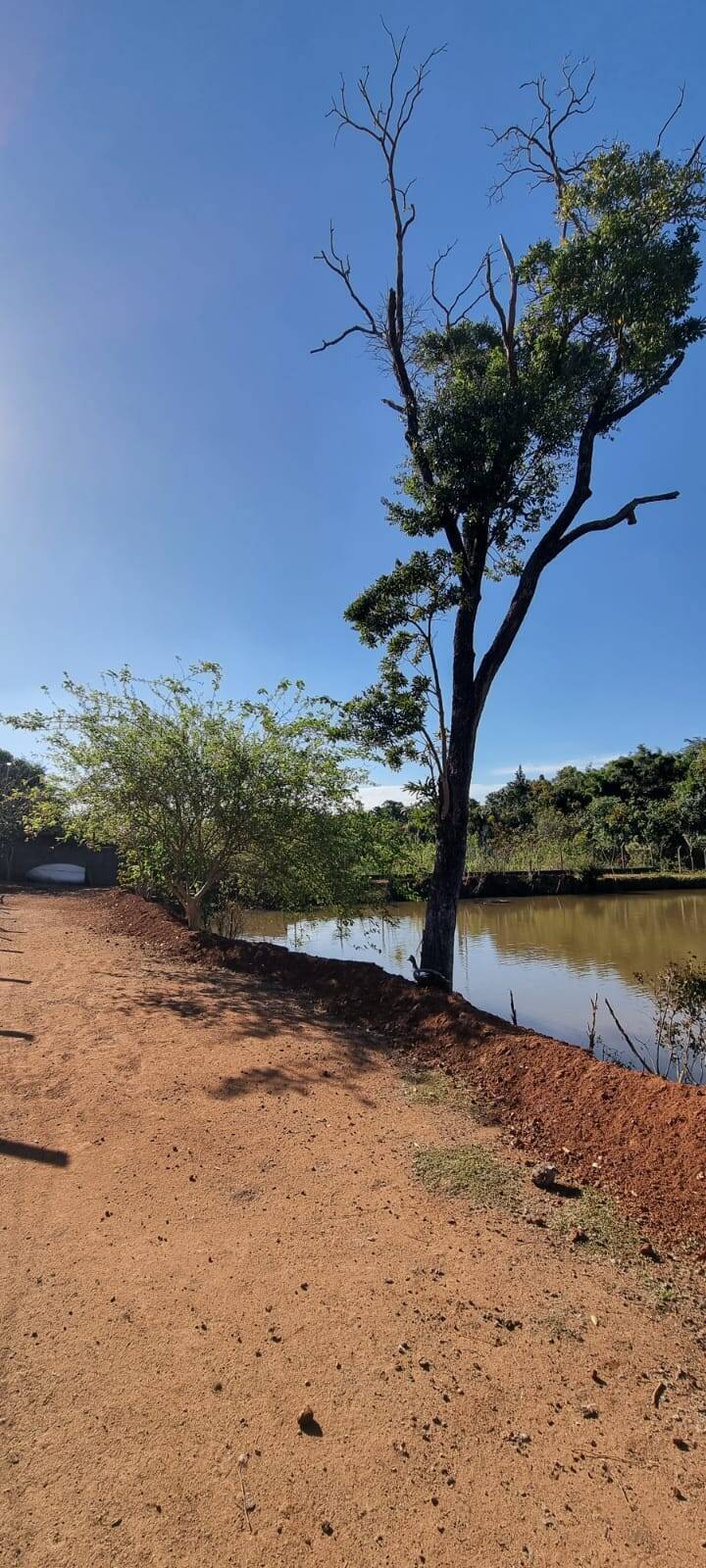 Fazenda à venda com 2 quartos, 19000m² - Foto 19