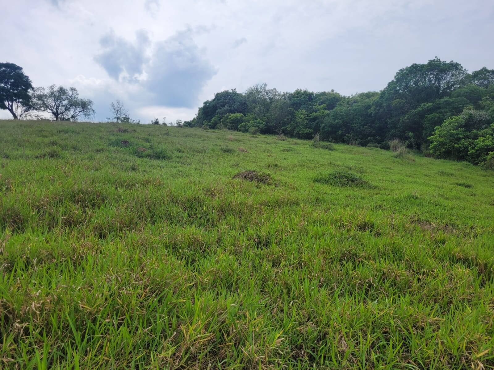 Terreno à venda, 20000m² - Foto 8