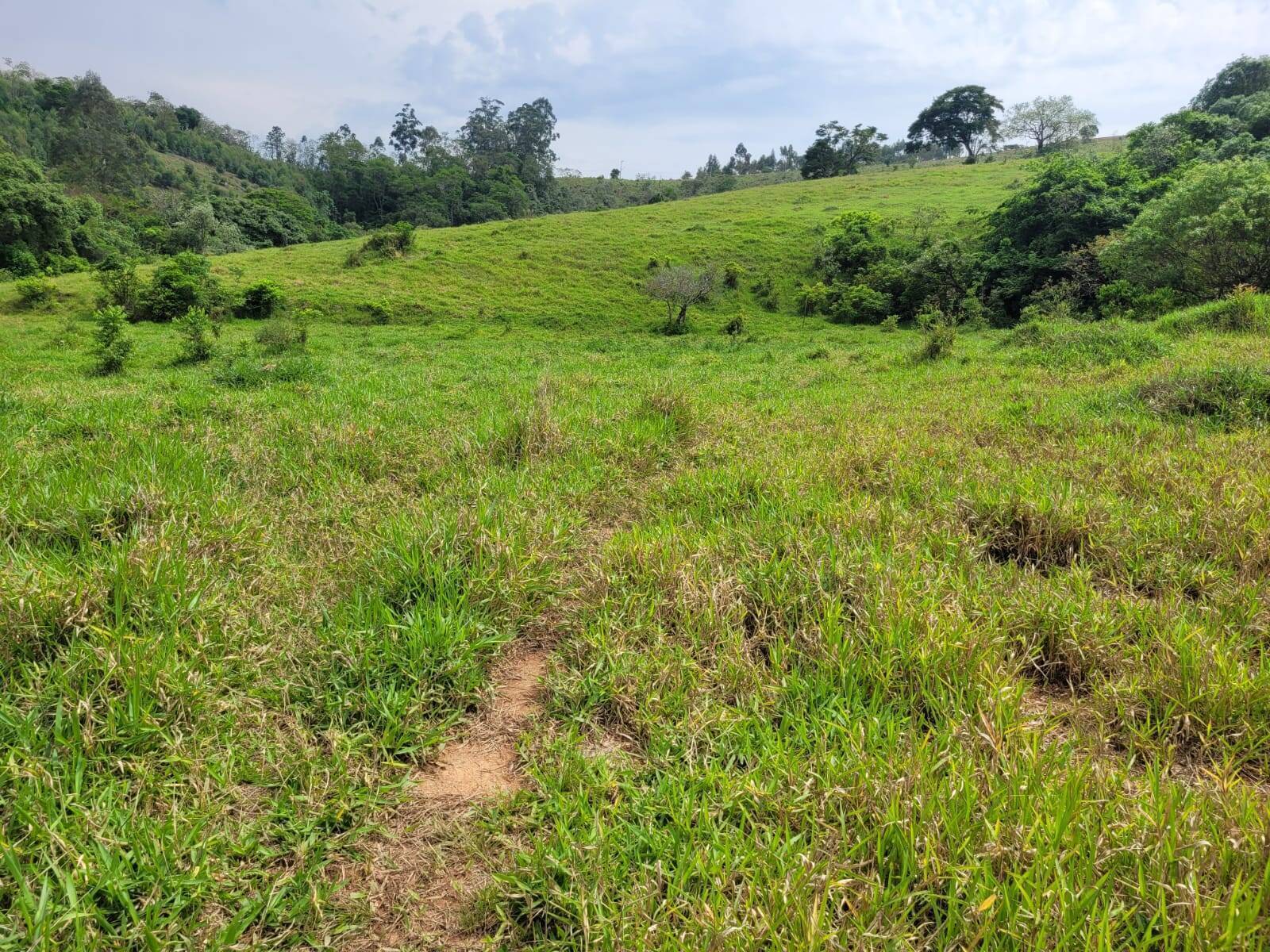 Terreno à venda, 20000m² - Foto 9