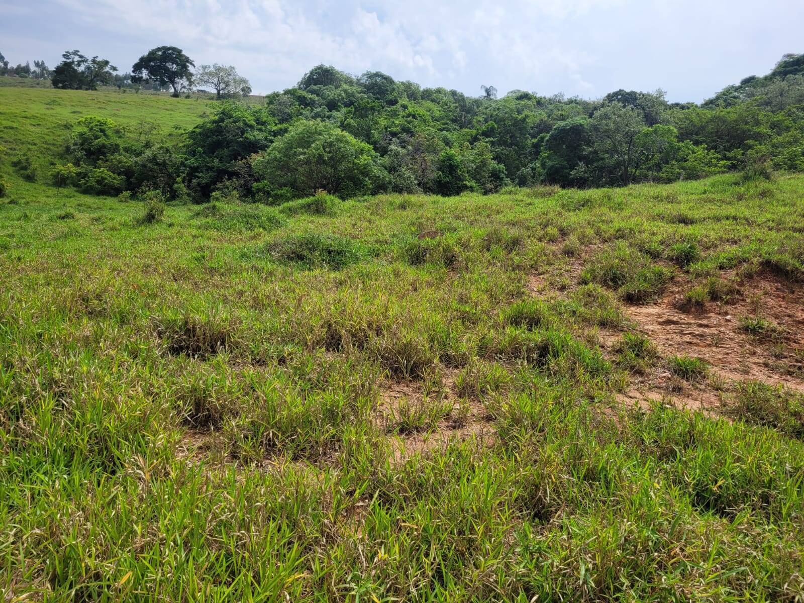 Terreno à venda, 20000m² - Foto 10