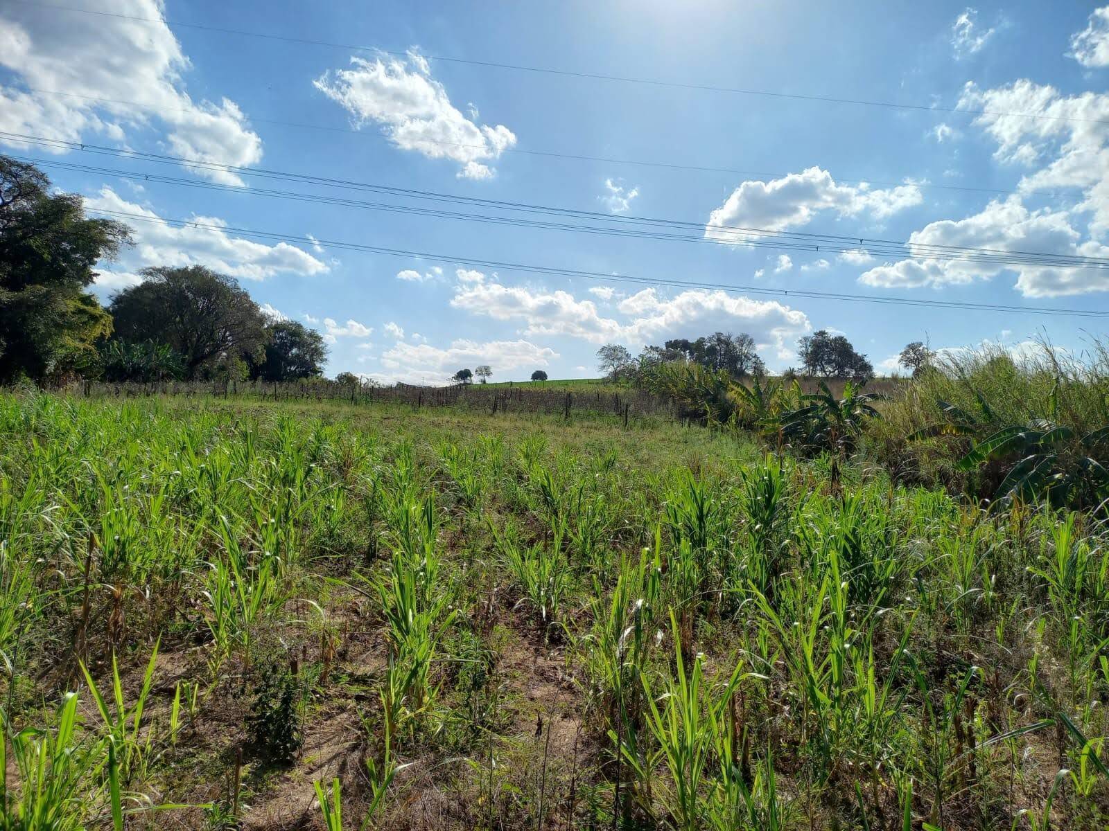 Terreno à venda, 24200m² - Foto 5