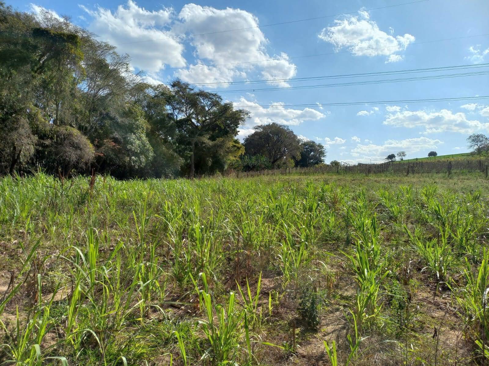 Terreno à venda, 24200m² - Foto 6