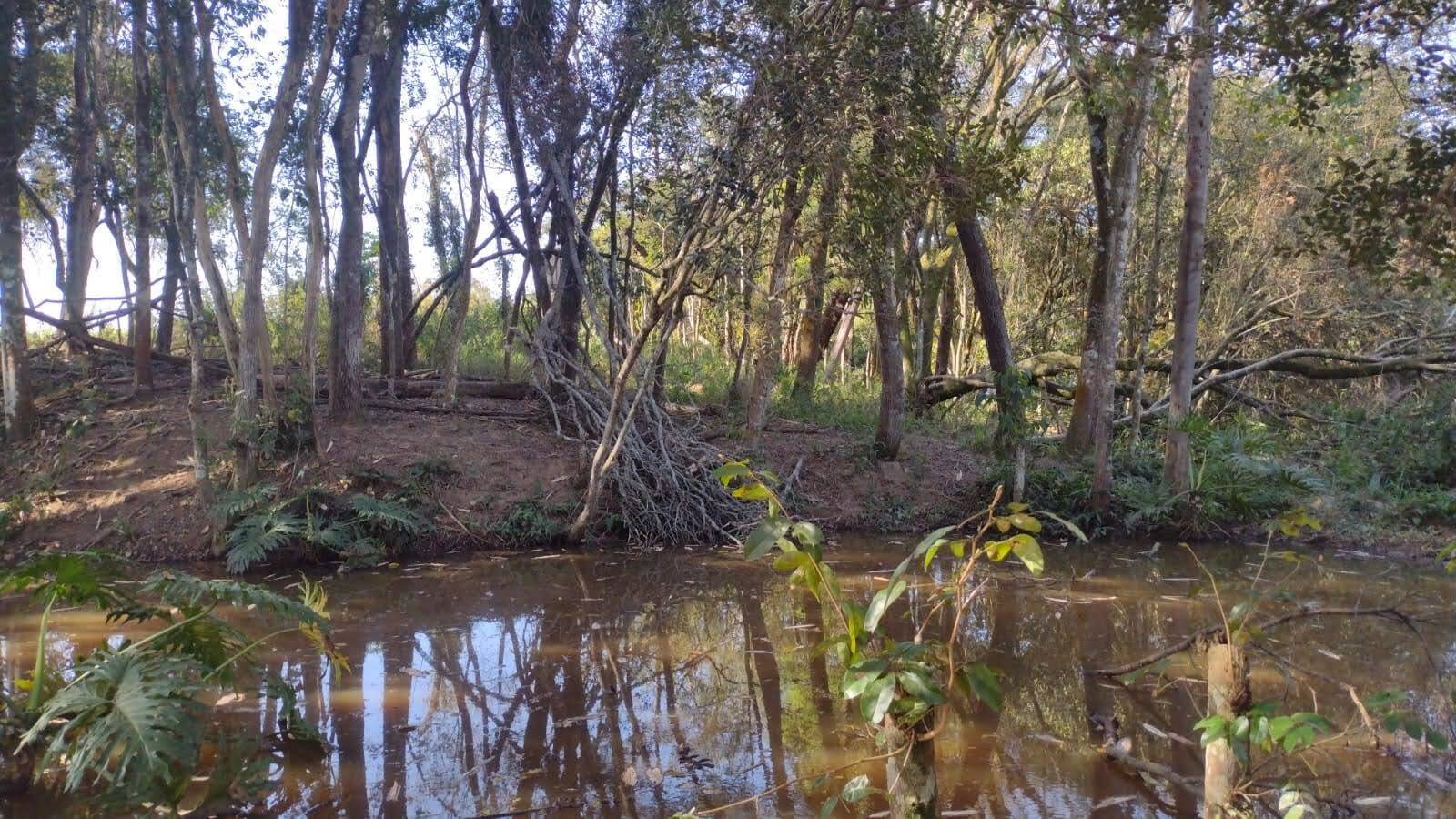 Terreno à venda, 24200m² - Foto 3