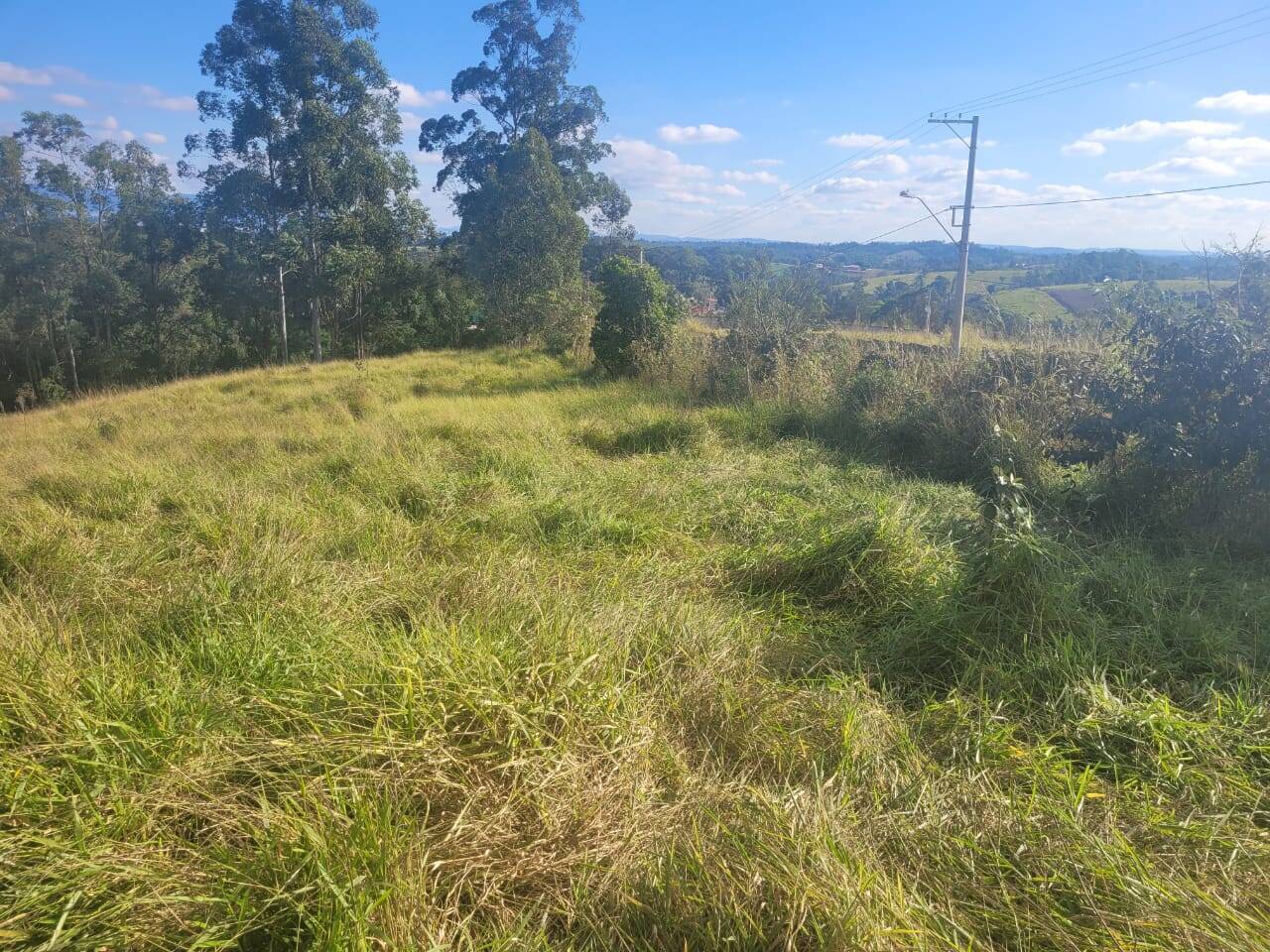 Terreno à venda, 64000m² - Foto 6