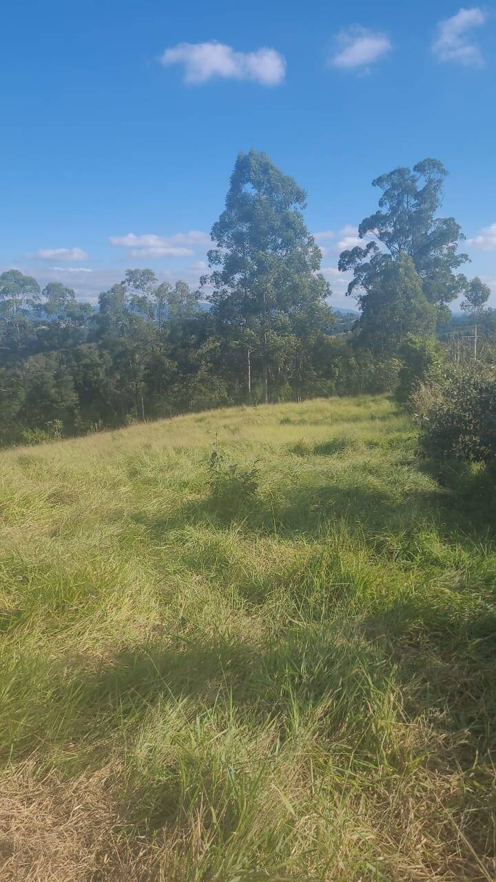 Terreno à venda, 64000m² - Foto 7