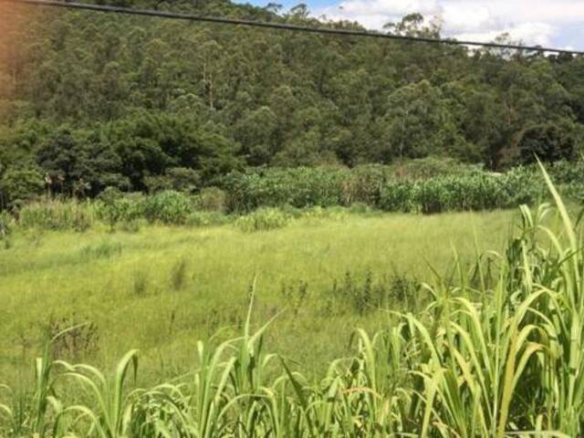 Venda em Sítio do Mursa - Várzea Paulista