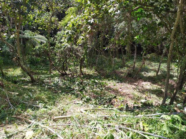 Área para Incorporação para Venda em Campo Limpo Paulista - 4