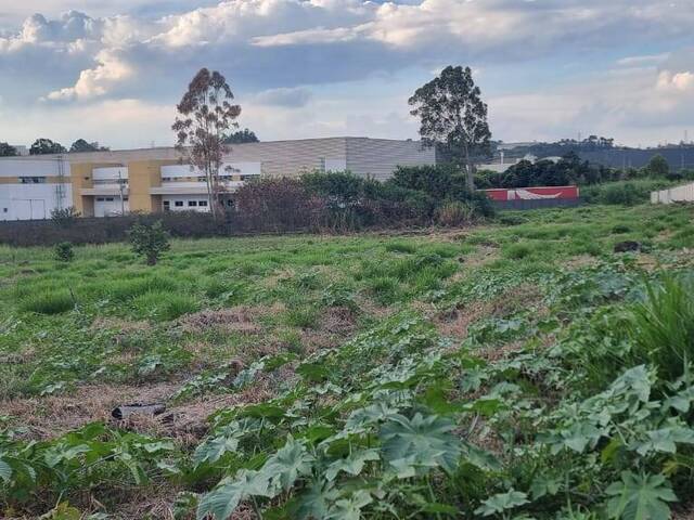 #443 - Área para Incorporação para Venda em Jundiaí - SP - 3