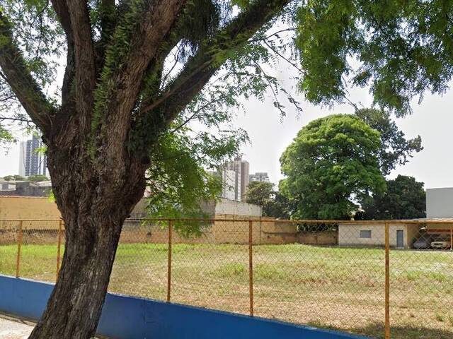 #2915 - Terreno para Locação em Jundiaí - SP - 2